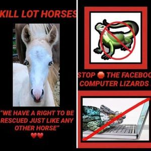 Meet your Posher, Sherry